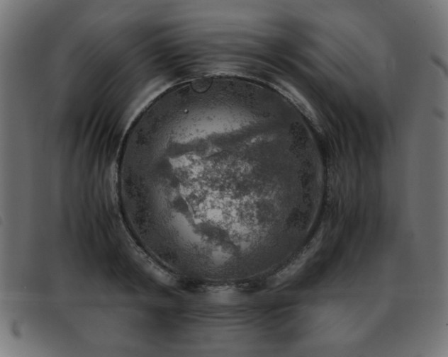 X0000093440798200710121332