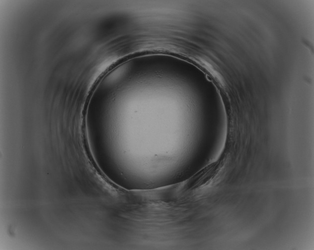 X0000093440799200710121332