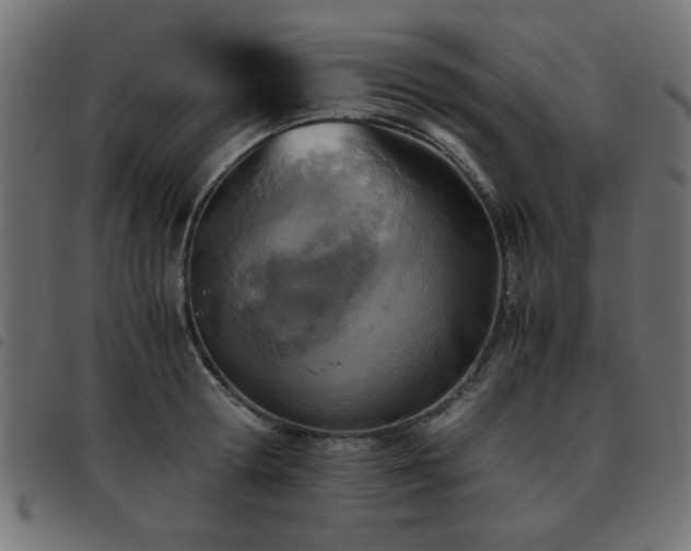 X0000093440802200710121332