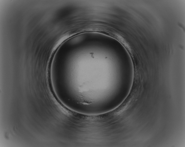 X0000093440803200710121332