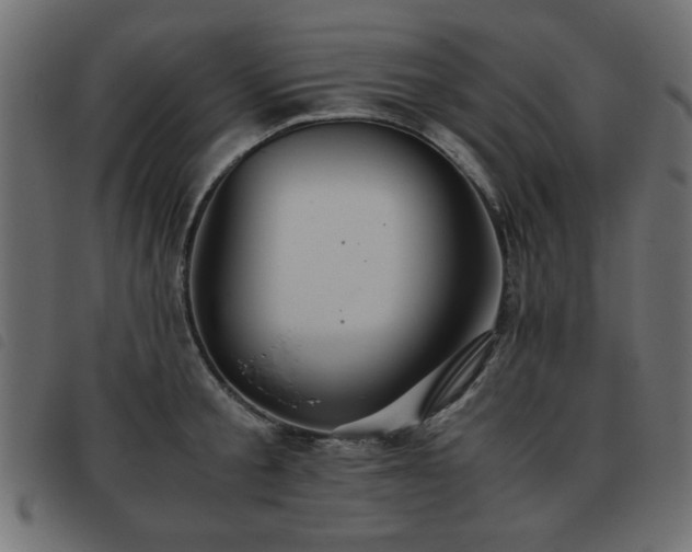X0000093440805200710121332