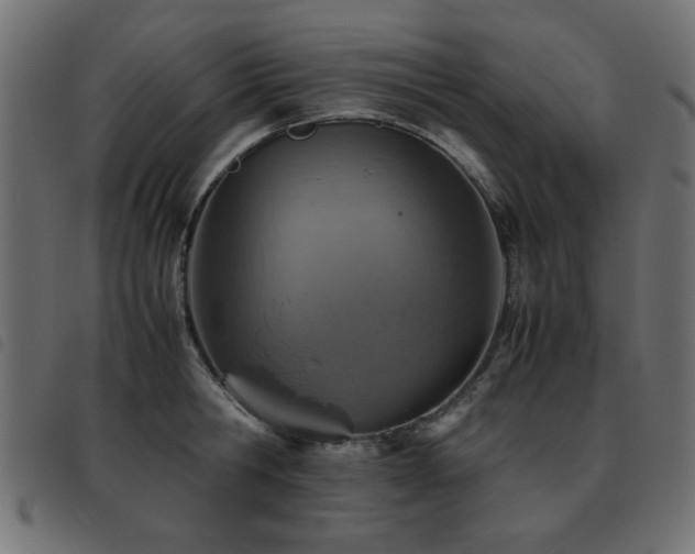 X0000093440806200710121332