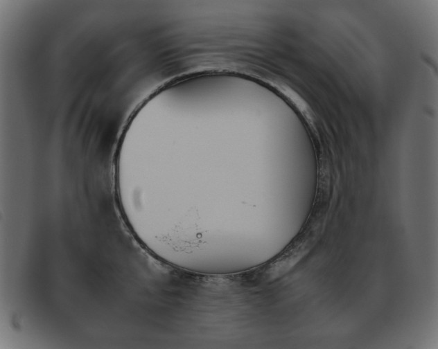 X0000093440807200710121332