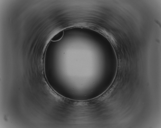 X0000093440808200710121332