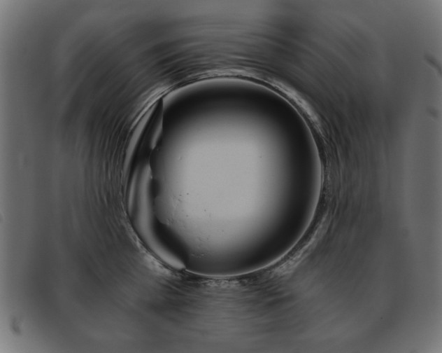 X0000093440809200710121332