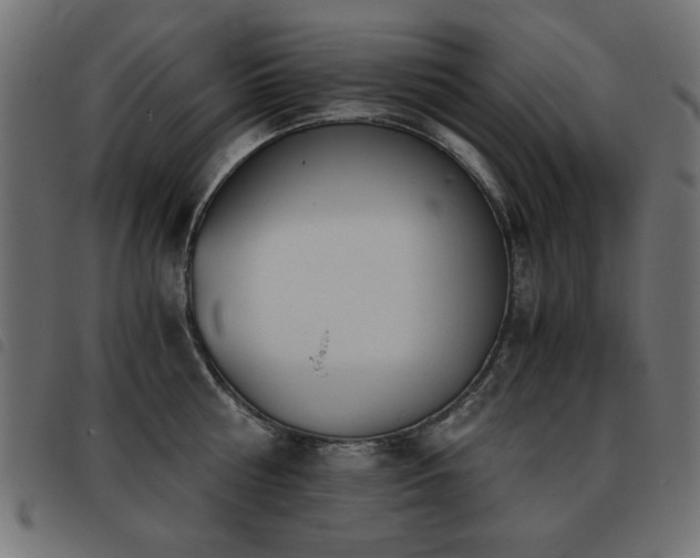 X0000093440810200710121332
