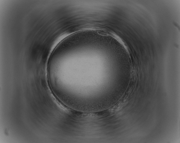 X0000093440811200710121332