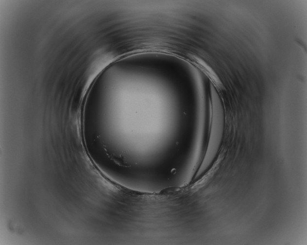 X0000093440812200710121332
