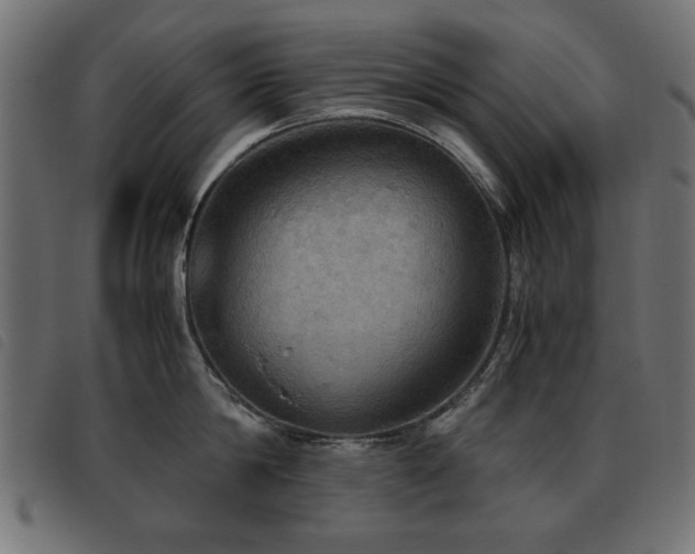 X0000093440814200710121332