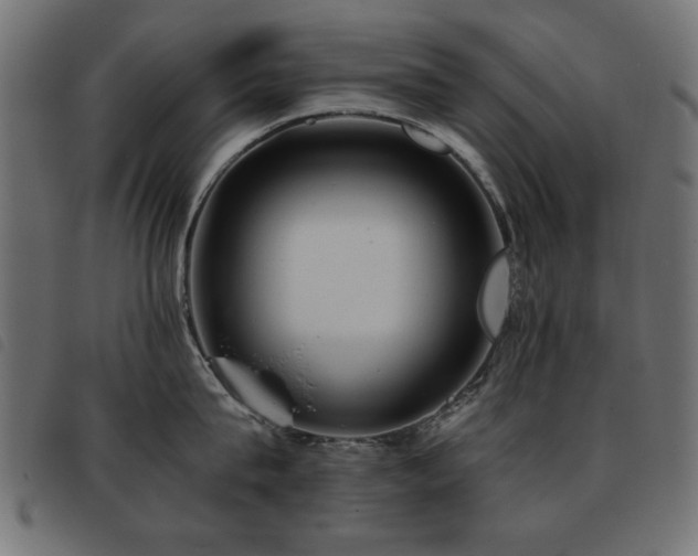 X0000093440815200710121332