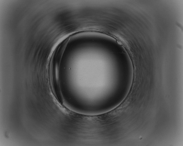X0000093440816200710121332