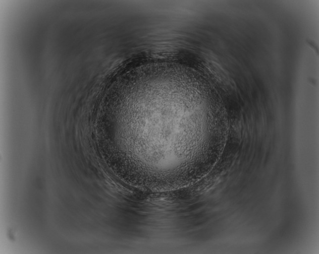 X0000093440817200710121331