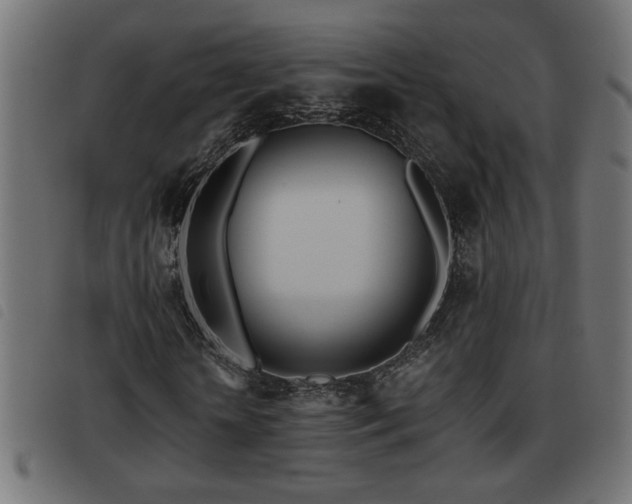X0000093440818200710121331