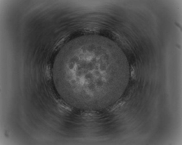 X0000093440819200710121331