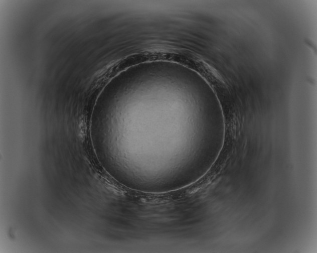 X0000093440821200710121331