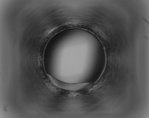 X0000093440822200710121331