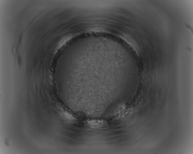 X0000093440823200710121331