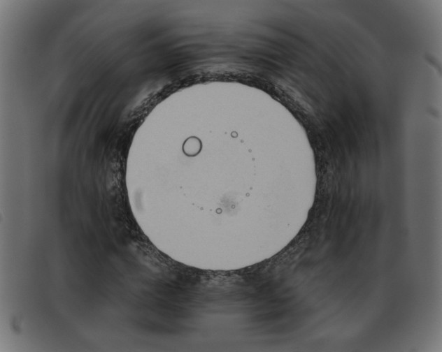 X0000093440824200710121331