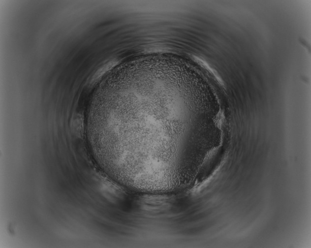 X0000093440825200710121331
