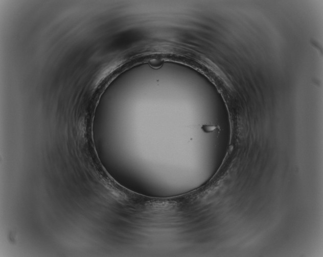 X0000093440826200710121331