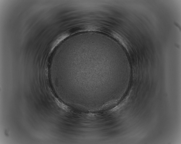 X0000093440827200710121331