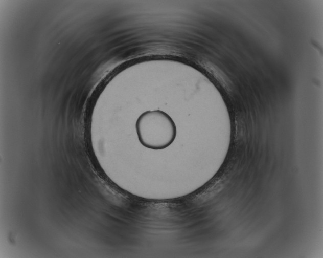 X0000093440828200710121331