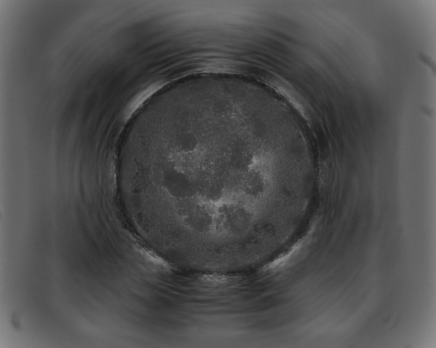 X0000093440829200710121331