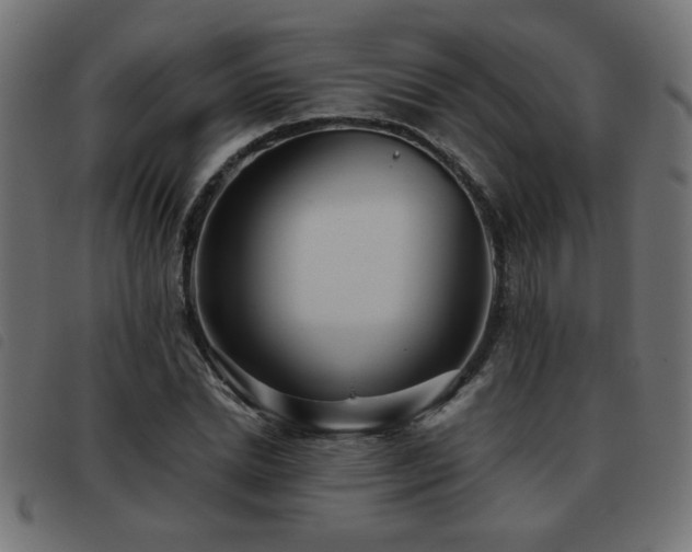 X0000093440830200710121331