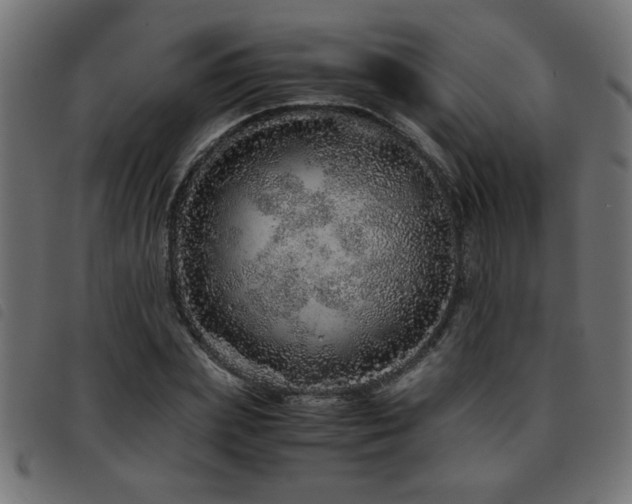 X0000093440831200710121331