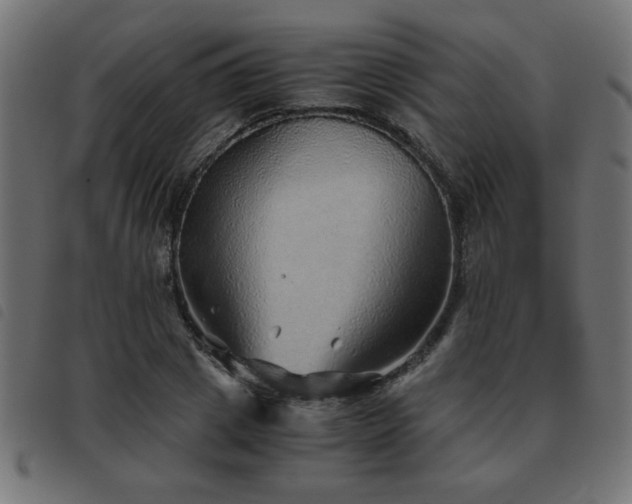 X0000093440833200710121331