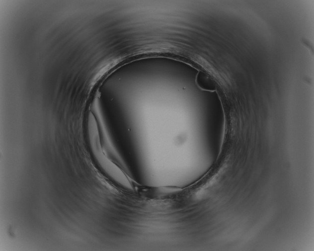 X0000093440834200710121331