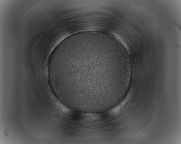 X0000093440835200710121331