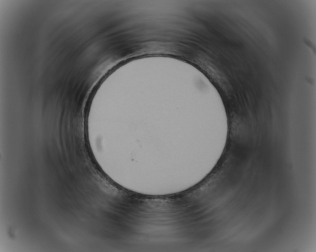 X0000093440836200710121331