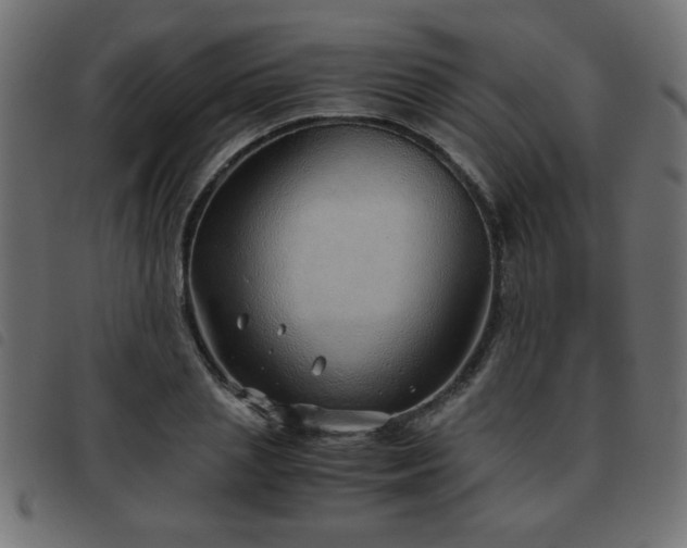 X0000093440837200710121331