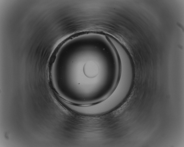 X0000093440838200710121331