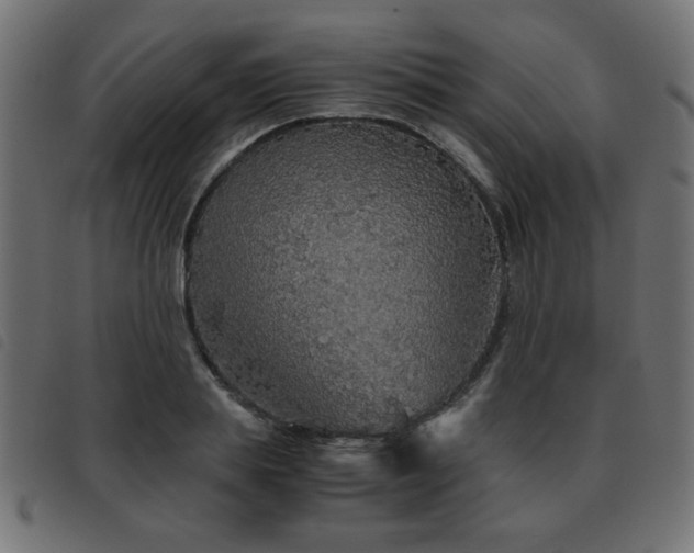 X0000093440839200710121331