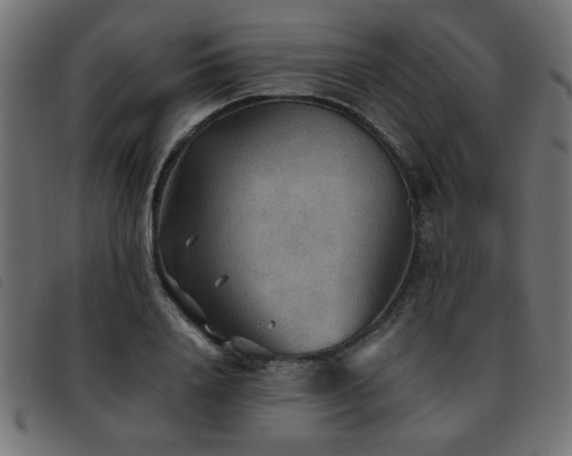 X0000093440840200710121331