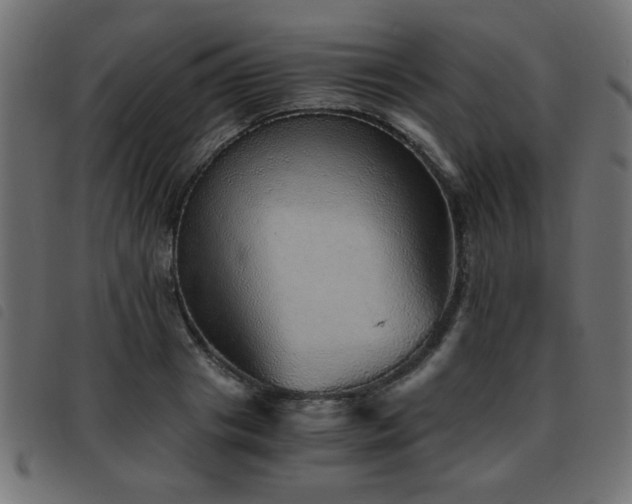 X0000093440841200710121331