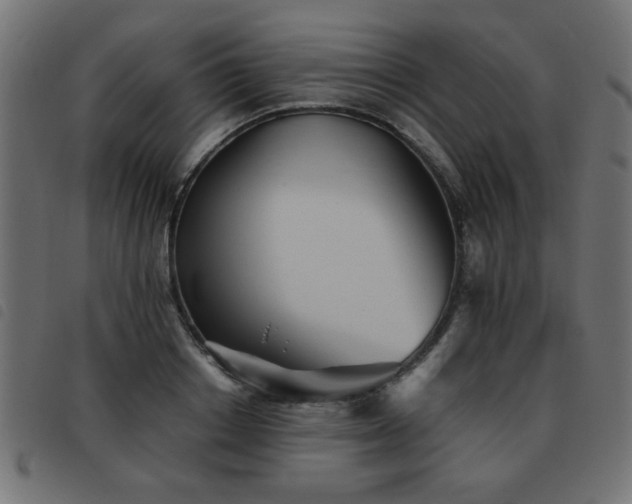 X0000093440842200710121331