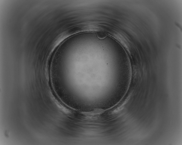 X0000093440843200710121331
