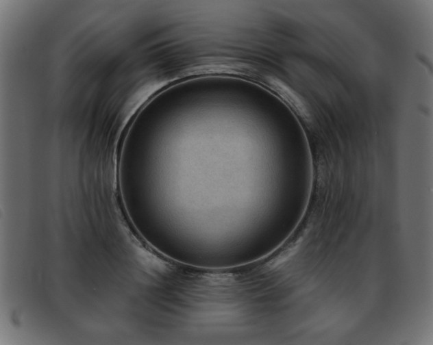 X0000093440844200710121331