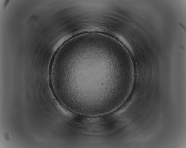 X0000093440845200710121331