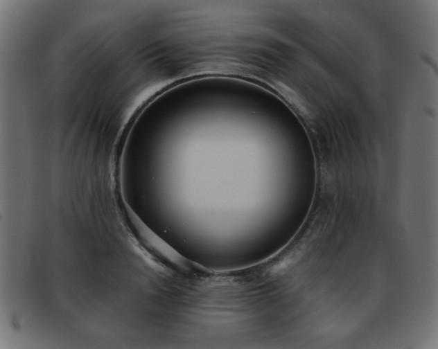 X0000093440846200710121331