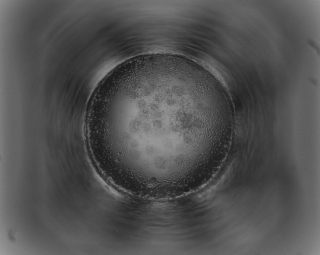 X0000093440847200710121331