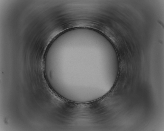 X0000093440848200710121331