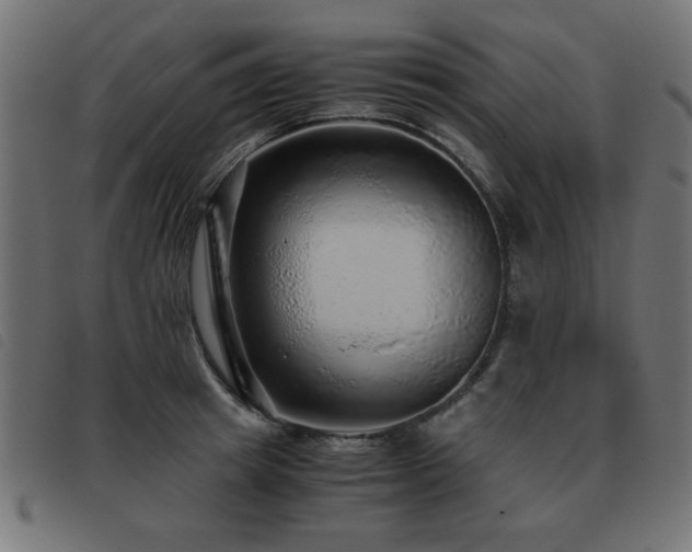 X0000093440849200710121331
