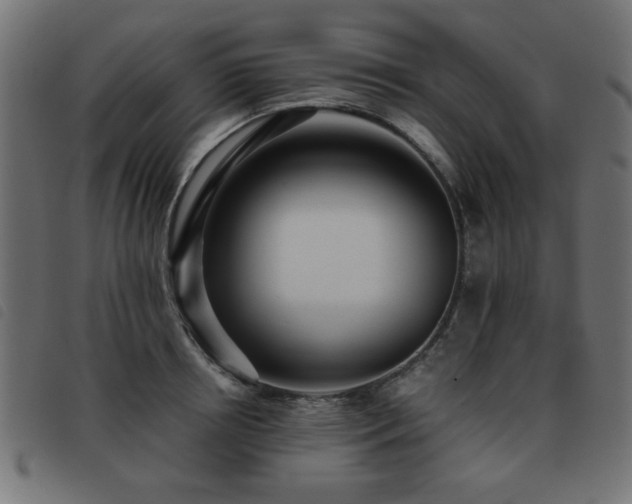 X0000093440850200710121331