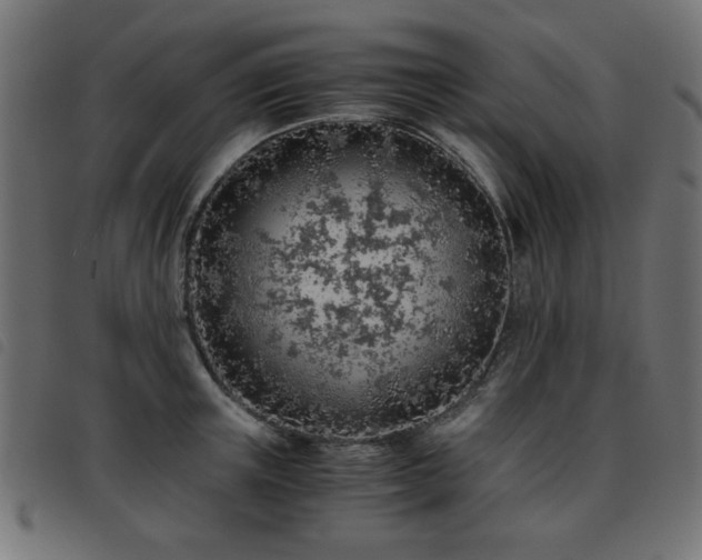 X0000093440851200710121331
