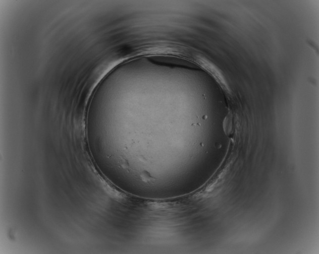 X0000093440852200710121331