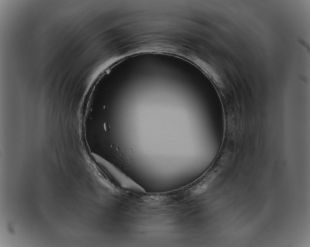 X0000093440854200710121331
